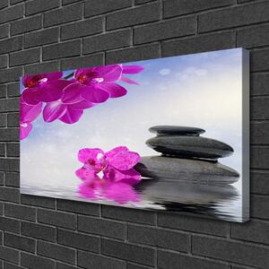 Quadro stampa su tela Fiori della pianta dell'orchidea 100x50 cm