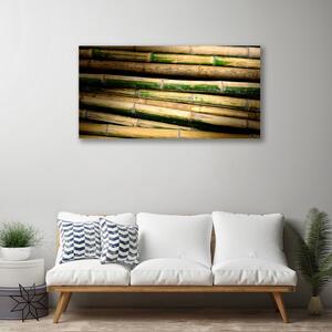 Quadro su tela Bambù Pianta Natura 100x50 cm