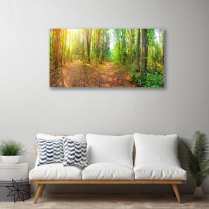 Quadro su tela Alberi della natura della foresta 100x50 cm
