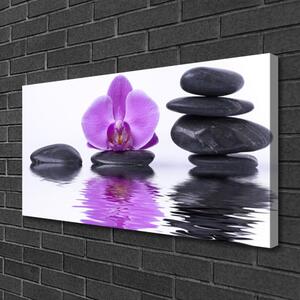 Quadro stampa su tela Riflessione dello specchio d'acqua del fiore 100x50 cm