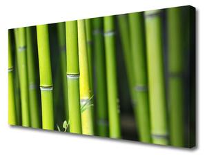 Quadro su tela Pianta della natura di bambù 100x50 cm