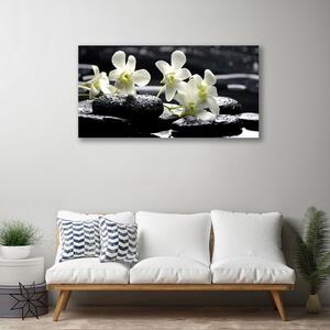 Foto quadro su tela Pianta di pietre di orchidea 100x50 cm