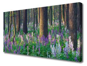 Quadro stampa su tela Foresta dell'albero della natura 100x50 cm