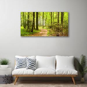 Stampa quadro su tela Foresta del percorso della natura 100x50 cm