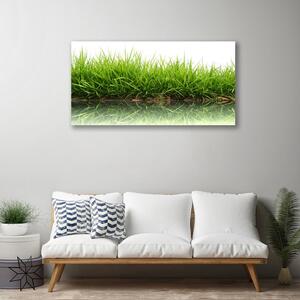 Foto quadro su tela Erba, acqua, natura, piante 100x50 cm