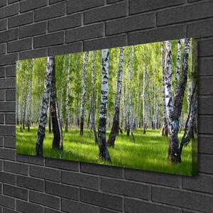Stampa quadro su tela Foresta dell'albero della natura 100x50 cm