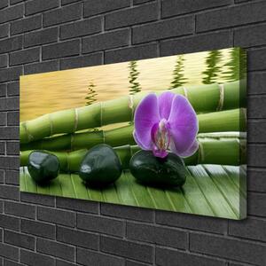 Quadro su tela Pietre di fiori Natura di bambù 100x50 cm