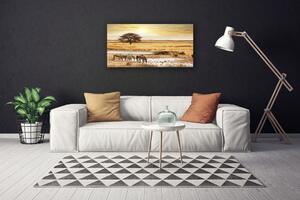 Stampa quadro su tela Paesaggio di safari delle zebre 100x50 cm