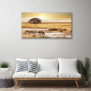 Stampa quadro su tela Paesaggio di safari delle zebre 100x50 cm