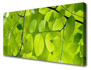Quadro su tela Foglie di piante naturali 100x50 cm
