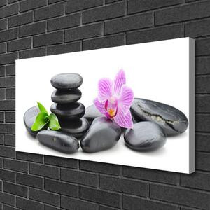 Foto quadro su tela Zen Pietre Fiore 100x50 cm
