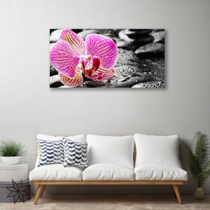 Quadro su tela Fiore di pietre di orchidea 100x50 cm