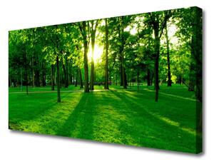 Quadro su tela Parco Naturale della Foresta 100x50 cm