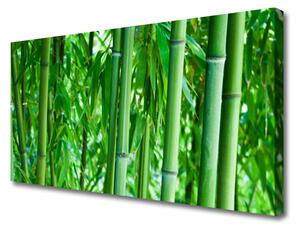 Quadro su tela Stelo di piante di bambù 100x50 cm