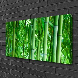 Quadro su tela Stelo di piante di bambù 100x50 cm