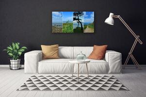 Stampa quadro su tela Paesaggio dell'albero della spiaggia 100x50 cm