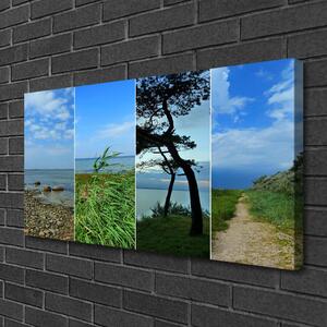 Stampa quadro su tela Paesaggio dell'albero della spiaggia 100x50 cm