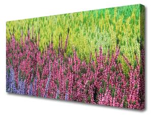 Quadro su tela Fiore, pianta, natura 100x50 cm