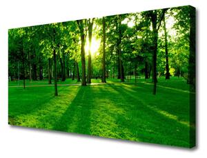Stampa quadro su tela Parco Naturale della Foresta 100x50 cm