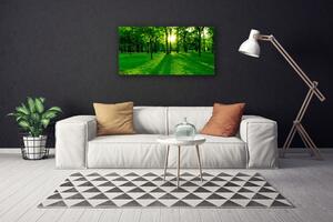 Stampa quadro su tela Parco Naturale della Foresta 100x50 cm