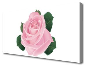 Quadro stampa su tela Natura della pianta del fiore della rosa 100x50 cm