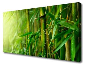 Quadro su tela Steli di piante di bambù 100x50 cm
