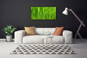 Stampa quadro su tela Erba, piante, natura 100x50 cm
