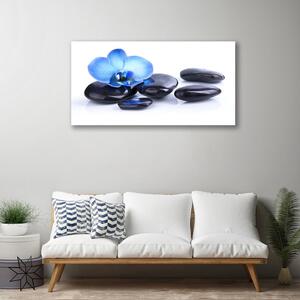 Foto quadro su tela Pietre di fiori Art 100x50 cm