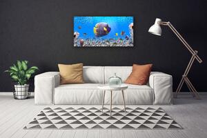 Quadro su tela Pesce della natura 100x50 cm