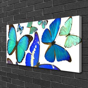 Quadro su tela Farfalle della natura 100x50 cm