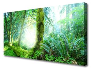 Quadro su tela Foresta della natura del muschio 100x50 cm