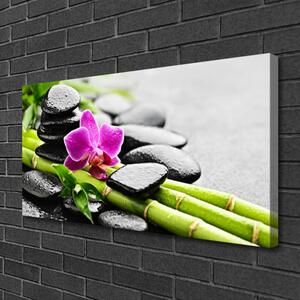 Quadro su tela pietre di fiori di bambù art 100x50 cm