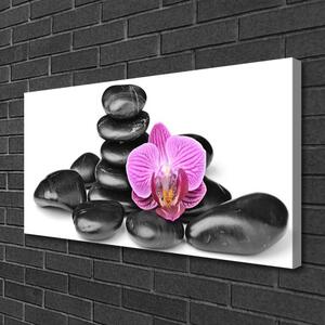 Stampa quadro su tela Pietre di fiori Art 100x50 cm