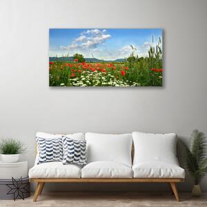 Stampa quadro su tela Prato, fiori, natura 100x50 cm