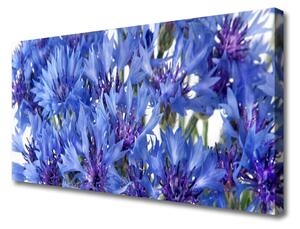 Quadro stampa su tela Fiori, piante, natura 100x50 cm