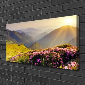 Foto quadro su tela Paesaggio del prato di montagna 100x50 cm