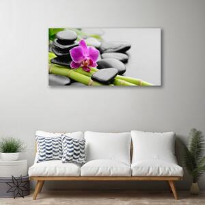 Stampa quadro su tela pietre di fiori di bambù art 100x50 cm