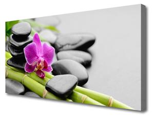 Stampa quadro su tela pietre di fiori di bambù art 100x50 cm