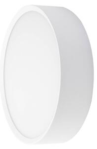 BRUMBERG Applique da esterno LED EYE aperta, bianca, CCT, IP65 Eye, Bianco / Opale, Corridoio, Alluminio