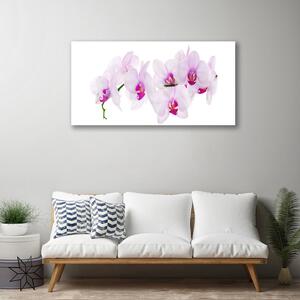 Stampa quadro su tela Fiori, piante, natura 125x50 cm