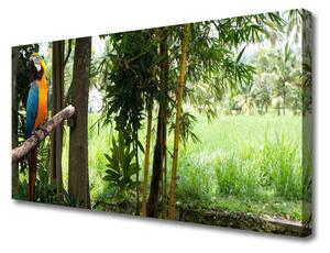 Quadro su tela Natura dell'albero del pappagallo 100x50 cm