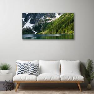 Quadro su tela Paesaggio di montagna del lago forestale 100x50 cm