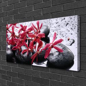 Foto quadro su tela Pietre di fiori Art 100x50 cm
