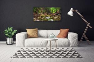 Stampa quadro su tela Foresta della natura del muschio 100x50 cm