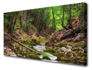 Stampa quadro su tela Foresta della natura del muschio 100x50 cm