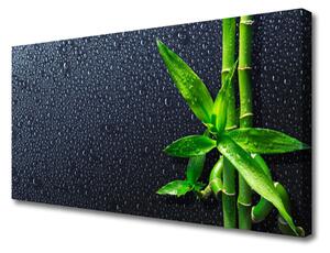 Quadro su tela Bambù Stelo Pianta Natura 100x50 cm