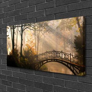Quadro su tela Architettura del ponte della foresta 100x50 cm