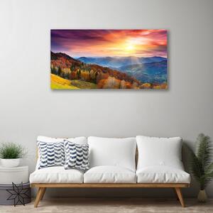 Foto quadro su tela Paesaggio del sole della montagna della foresta 100x50 cm