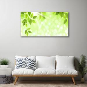 Stampa quadro su tela Foglie di piante naturali 100x50 cm