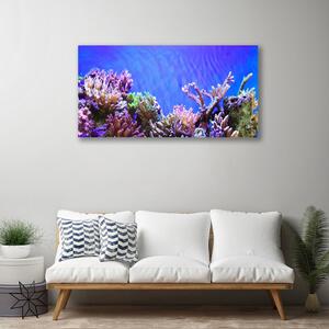 Quadro stampa su tela Natura della barriera corallina 100x50 cm